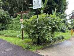 Jalan Merah Saga (D10), Condominium #603054931